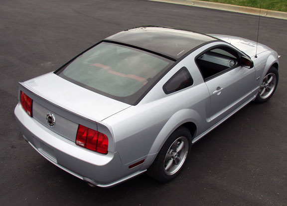 Mustang with Glassback